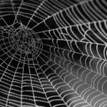 Aplikacje internetowe: Klucz do sukcesu Twojego biznesu